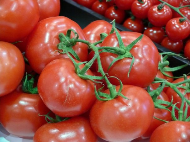 Для выращивания рассады томатов используют почвенную смесь для тепличных, парниковых грунтов.